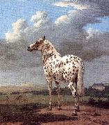 POTTER, Paulus The Piebald Horse china oil painting reproduction